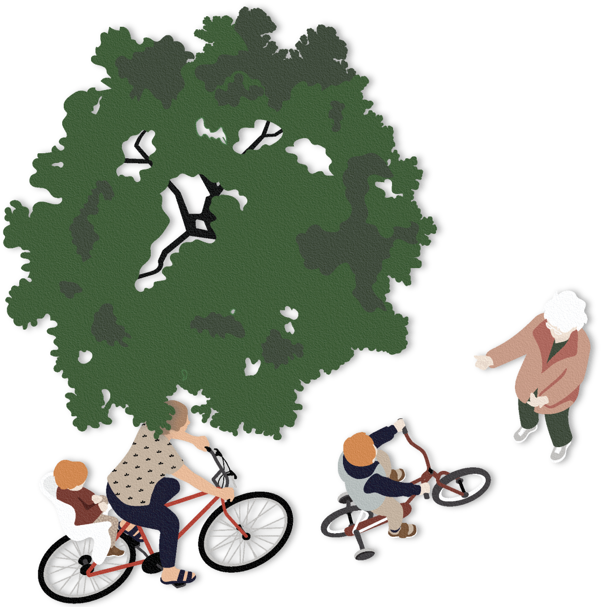 Aging in Place with Grace: Fostering a Cohousing Community